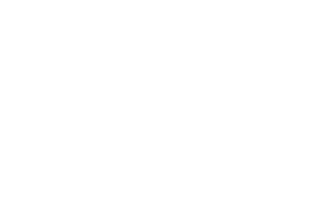 INGVENTI
